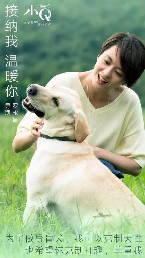 办理假西诺丁汉郡学院文凭毕业证